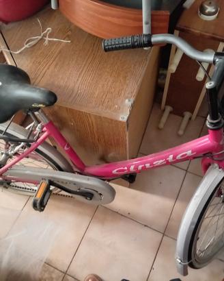 bicicletta