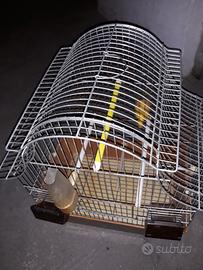 voliera e gabbietta