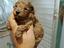 Immagine 5