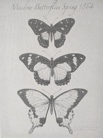 stampe
