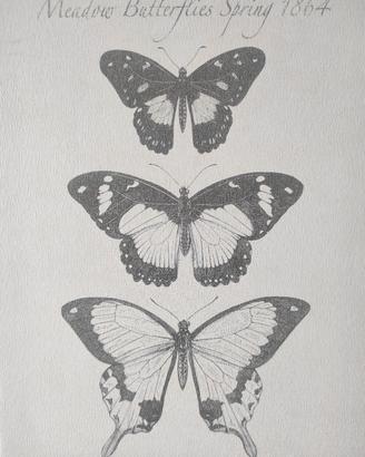 stampe