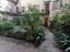 Immagine 13