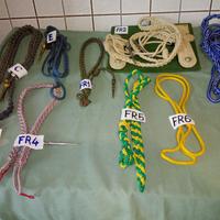 cordelline e fasce militari