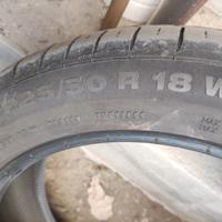 Gomme estive  CONTINENTAL
