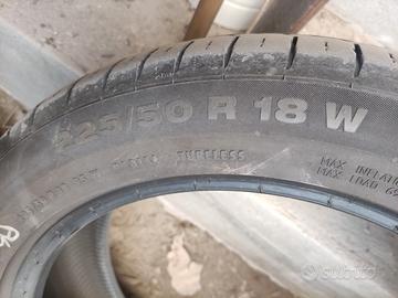 Gomme estive  CONTINENTAL