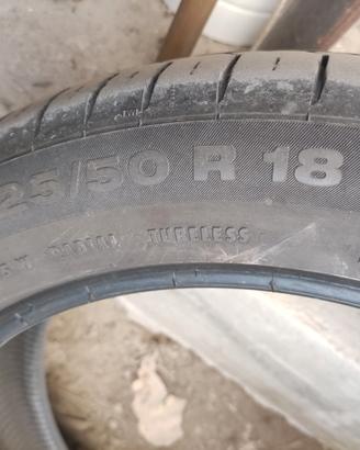 Gomme estive  CONTINENTAL