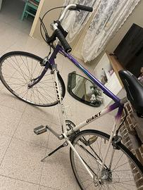 Bici giant