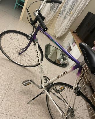 Bici giant