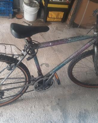 mountain bike Girardengo anni '90