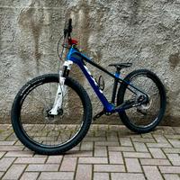 Bici cross country carbon