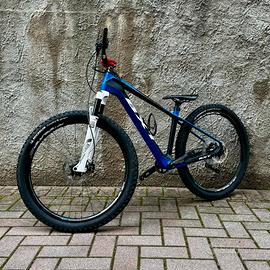 Bici cross country carbon