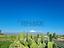 Immagine 28