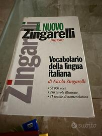 Dizionario lingua italiana
