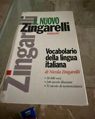 Dizionario lingua italiana