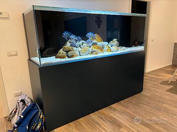 Acquario 1000 litri