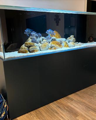 Acquario 1000 litri