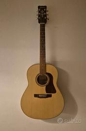 Chitarra Acustica Made in Japan