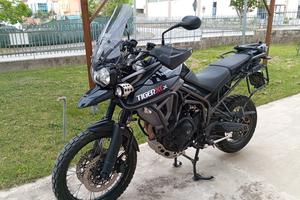 Triumph Tiger 800 XCX 