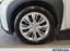 Immagine 11