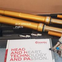 YAMAHA FORCELLE OHLINS SPECIALI PINZE BREMBO GP4RX