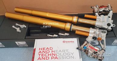 YAMAHA FORCELLE OHLINS SPECIALI PINZE BREMBO GP4RX