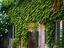 Immagine 27