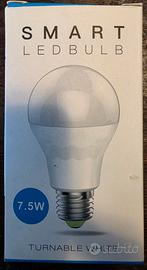 Lampadina Smart
