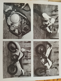 Vendita moto Malaguti