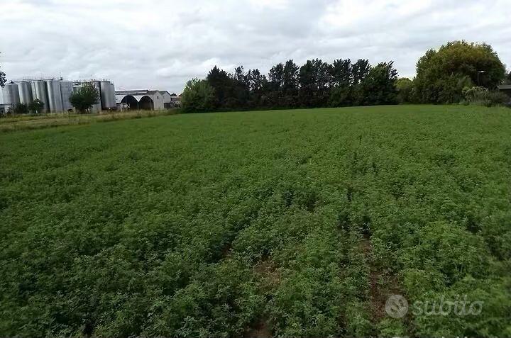 Terreno agricolo - Vista 2