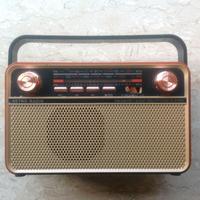 Radio Vintage Hi-Fi Bluetooth AM/FM/SWRicaricabile