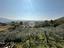 Immagine 20
