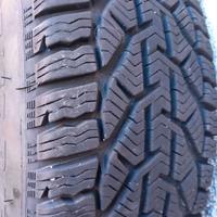 4 gomme termiche + cerchi