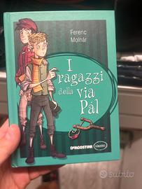 I ragazzi della via pal