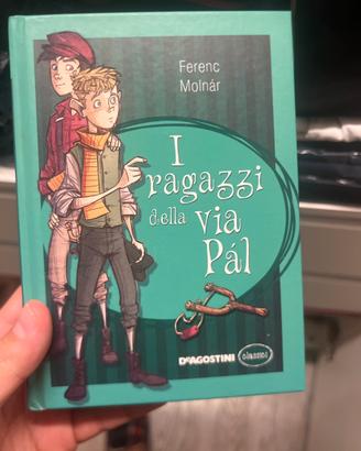 I ragazzi della via pal