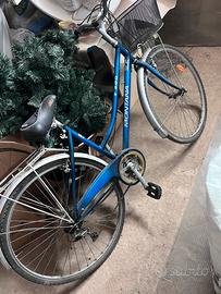 Bici montana