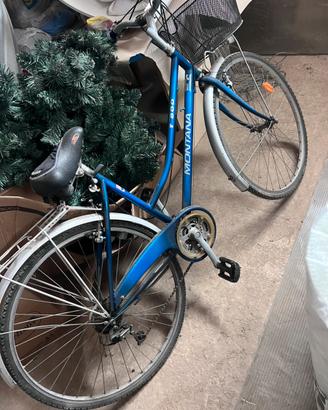 Bici montana