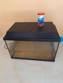 Acquario con due pesciolini