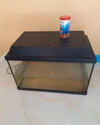 Acquario con due pesciolini