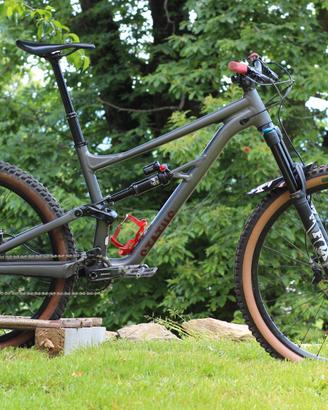 Specialized Status 160