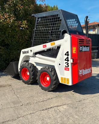 P167 Mini pala 13 q.li Bobcat 443