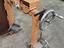 Immagine 3