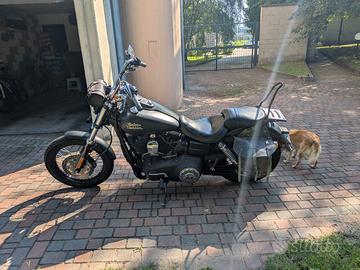 Harley dayna street bob 2015