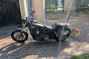 Harley dayna street bob 2015
