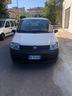 fiat-panda-1-1-actual