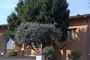 Mezza bifamiliare in zona residenziale