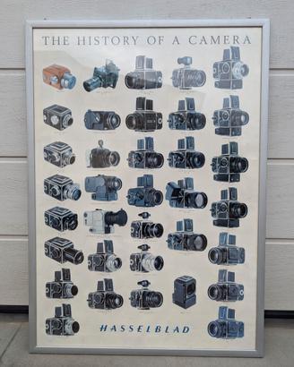 POSTER fotocamere Hasselblad