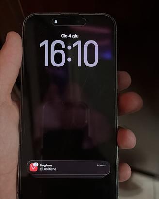 iPhone 14 Pro Max