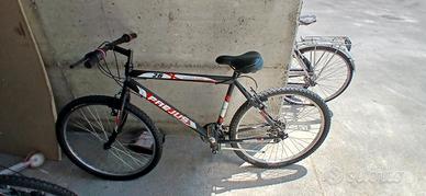 bici fregius
