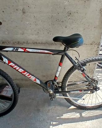 bici fregius