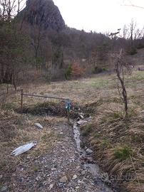 Terreno agricolo contornato da bosco ceduo
